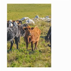 Cows At Countryside, Maldonado Department, Uruguay Small Garden Flag (two Sides) by dflcprints