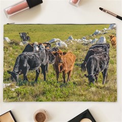 Cows At Countryside, Maldonado Department, Uruguay Cosmetic Bag (xxl) by dflcprints