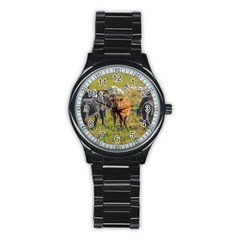 Cows At Countryside, Maldonado Department, Uruguay Stainless Steel Round Watch by dflcprints