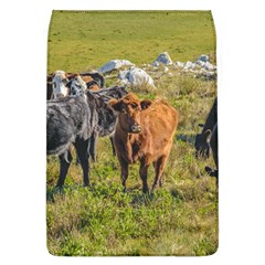 Cows At Countryside, Maldonado Department, Uruguay Removable Flap Cover (l) by dflcprints