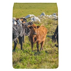 Cows At Countryside, Maldonado Department, Uruguay Removable Flap Cover (s) by dflcprints