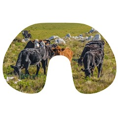 Cows At Countryside, Maldonado Department, Uruguay Travel Neck Pillow by dflcprints