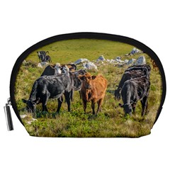 Cows At Countryside, Maldonado Department, Uruguay Accessory Pouch (large) by dflcprints