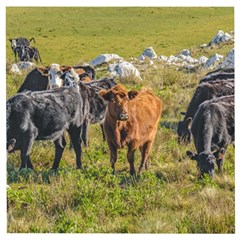 Cows At Countryside, Maldonado Department, Uruguay Wooden Puzzle Square by dflcprints