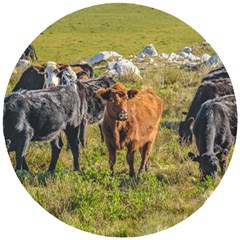 Cows At Countryside, Maldonado Department, Uruguay Wooden Puzzle Round by dflcprints