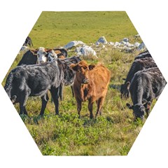 Cows At Countryside, Maldonado Department, Uruguay Wooden Puzzle Hexagon by dflcprints