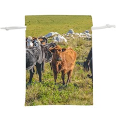 Cows At Countryside, Maldonado Department, Uruguay  Lightweight Drawstring Pouch (xl)