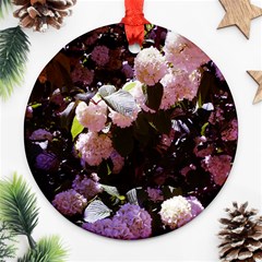 Purple Snowballs Ornament (round) by okhismakingart