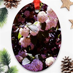 Purple Snowballs Ornament (oval) by okhismakingart