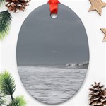 Stormy Seas Oval Ornament (Two Sides) Front