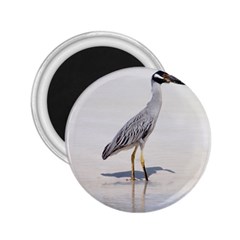 Beach Heron Bird 2 25  Magnets