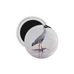 Beach Heron Bird 1 75  Magnets