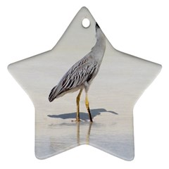 Beach Heron Bird Ornament (star)