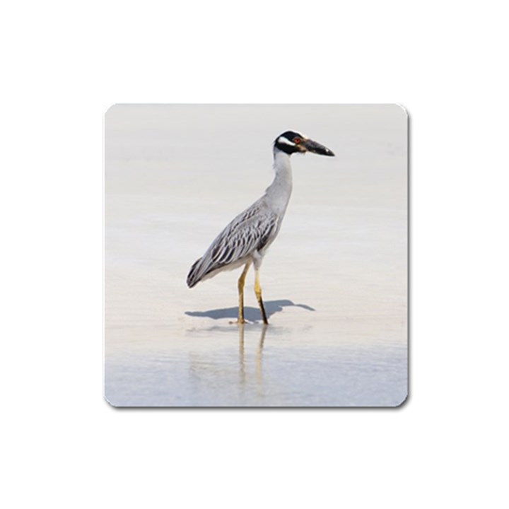 Beach Heron Bird Square Magnet