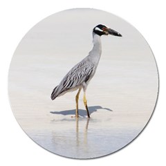 Beach Heron Bird Magnet 5  (round)