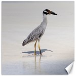 Beach Heron Bird Canvas 12  x 12  11.4 x11.56  Canvas - 1