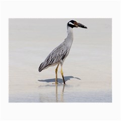 Beach Heron Bird Small Glasses Cloth (2 Sides)