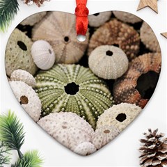 Sea Urchins Ornament (heart) by TheLazyPineapple