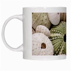 Sea Urchins White Mugs by TheLazyPineapple