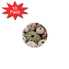 Sea Urchins 1  Mini Magnet (10 Pack)  by TheLazyPineapple