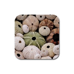 Sea Urchins Rubber Square Coaster (4 Pack) 