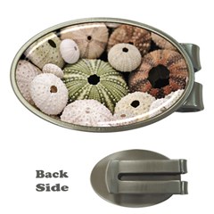 Sea Urchins Money Clips (oval)  by TheLazyPineapple