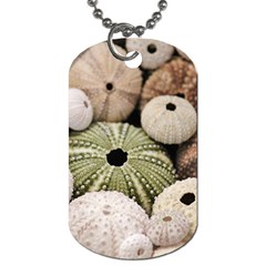 Sea Urchins Dog Tag (one Side) by TheLazyPineapple