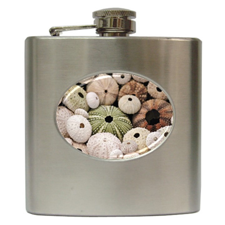 Sea urchins Hip Flask (6 oz)