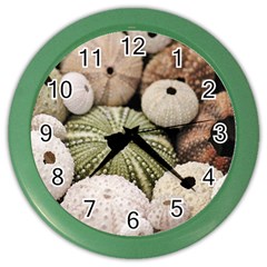 Sea Urchins Color Wall Clock by TheLazyPineapple