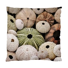 Sea Urchins Standard Cushion Case (one Side) by TheLazyPineapple