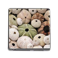 Sea Urchins Memory Card Reader (square 5 Slot) by TheLazyPineapple