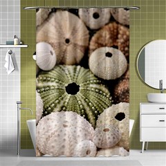 Sea Urchins Shower Curtain 48  X 72  (small)  by TheLazyPineapple