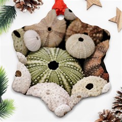 Sea Urchins Ornament (snowflake) by TheLazyPineapple