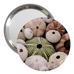 Sea Urchins 3  Handbag Mirrors by TheLazyPineapple