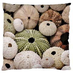 Sea Urchins Large Flano Cushion Case (one Side) by TheLazyPineapple