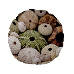 Sea Urchins Standard 15  Premium Flano Round Cushions by TheLazyPineapple