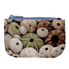 Sea Urchins Large Coin Purse by TheLazyPineapple