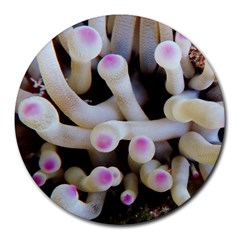 Sea Anemone Round Mousepads by TheLazyPineapple