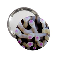 Sea Anemone 2 25  Handbag Mirrors by TheLazyPineapple