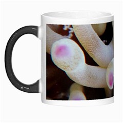 Sea Anemone Morph Mugs by TheLazyPineapple