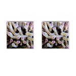 Sea Anemone Cufflinks (Square) Front(Pair)