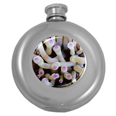 Sea Anemone Round Hip Flask (5 Oz) by TheLazyPineapple