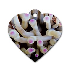 Sea Anemone Dog Tag Heart (two Sides) by TheLazyPineapple