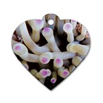 Sea Anemone Dog Tag Heart (Two Sides) Back