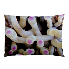 Sea Anemone Pillow Case by TheLazyPineapple