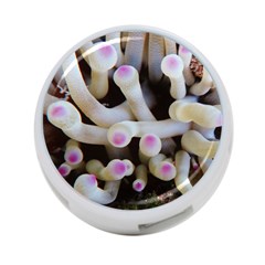 Sea Anemone 4-port Usb Hub (one Side) by TheLazyPineapple