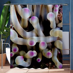 Sea Anemone Shower Curtain 60  X 72  (medium)  by TheLazyPineapple