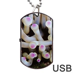 Sea Anemone Dog Tag Usb Flash (one Side) by TheLazyPineapple