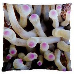 Sea Anemone Large Cushion Case (one Side) by TheLazyPineapple