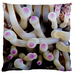 Sea Anemone Standard Flano Cushion Case (two Sides) by TheLazyPineapple